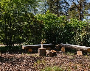 Rustic garden benches in wooded area at Holiday home in Nunspeet, Veluwe, Gelderland.