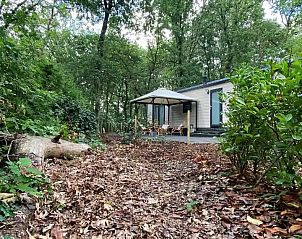 Verblijf 3230143 - Vakantiewoning Veluwe - Boshuisje Nunspeet 52