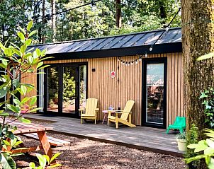 Unterkunft 3230149 - Ferienhaus Veluwe - Vakantiehuis in Nunspeet