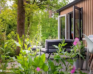 Guest house 3230151 - Holiday property Veluwe - Boshuisje Goudvink