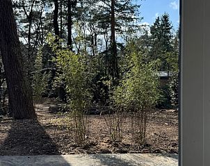 Unterkunft 323064 - Ferienhaus Veluwe - Vakantiehuis in Nunspeet