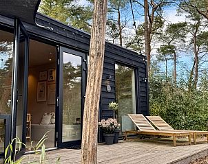 Huisje in Nunspeet, een charmant vakantiehuis op de Veluwe in Gelderland, met een uitnodigend terras omgeven door natuur.