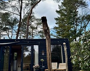 Verblijf 323065 - Vakantiewoning Veluwe - Huisje in Nunspeet