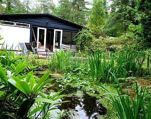 Unterkunft 323091 - Ferienhaus Veluwe - Jutta