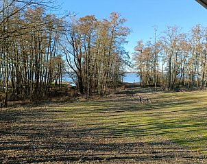 Natuurrijke omgeving van Vakantiehuis Villa Wellness 8, EuroParcs Veluwemeer, Nunspeet, met uitzicht op het water op de Veluwe.