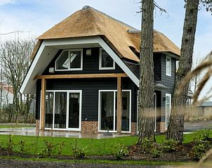 Exterieur van Vakantiehuis Villa 10, Nunspeet, Veluwe, met rieten dak en moderne architectuur.