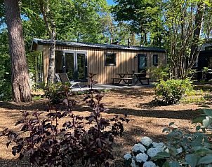 Unterkunft 323099 - Ferienhaus Veluwe - Steltloper