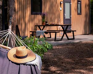 Unterkunft 323099 - Ferienhaus Veluwe - Steltloper