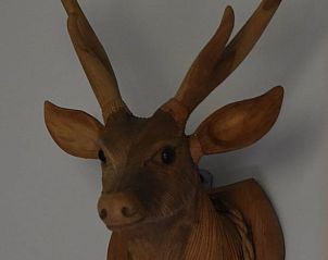 Unterkunft 323111 - Ferienhaus Veluwe - Vakantiehuisje in Lunteren