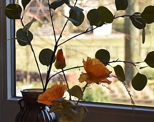 Unterkunft 323111 - Ferienhaus Veluwe - Vakantiehuisje in Lunteren