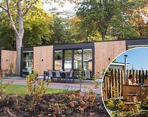 Veluwehoeve 4 personen Wellness in Lunteren met moderne houten buitenkant en een uitnodigend terras.