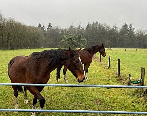 Guest house 323112 - Holiday property Veluwe - Vakantiehuis in Lunteren