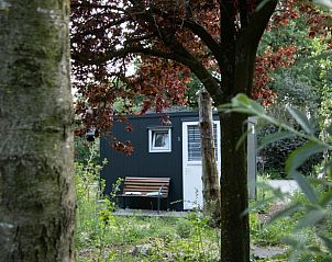 Unterkunft 323114 - Ferienhaus Veluwe - Vakantiehuis in Lunteren