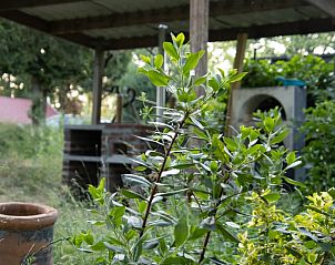 Unterkunft 323114 - Ferienhaus Veluwe - Vakantiehuis in Lunteren