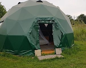Unterkunft 323117 - Ferienhaus Veluwe - Huisje in Lunteren