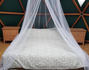 Unterkunft 323117 - Ferienhaus Veluwe - Huisje in Lunteren