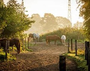 Unterkunft 323118 - Ferienhaus Veluwe - Vakantiehuisje in Lunteren