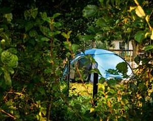 Unterkunft 323118 - Ferienhaus Veluwe - Vakantiehuisje in Lunteren