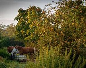 Unterkunft 323118 - Ferienhaus Veluwe - Vakantiehuisje in Lunteren