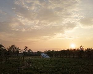 Unterkunft 323118 - Ferienhaus Veluwe - Vakantiehuisje in Lunteren