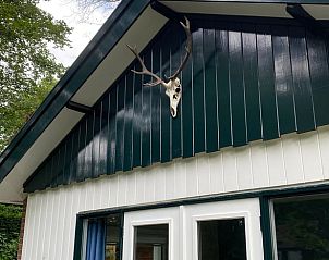 Buitenkant van vakantiehuisje in Lunteren met hertenschedel, Veluwe.