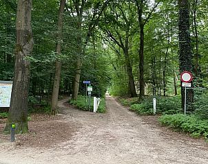 Bosrijke omgeving bij vakantiehuisje in Lunteren, Veluwe, perfect voor wandelen.