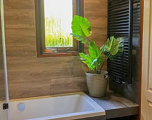 Unterkunft 323121 - Ferienhaus Veluwe - Huisje in Lunteren