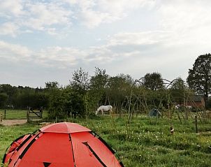 Unterkunft 323122 - Ferienhaus Veluwe - Vakantiehuisje in Lunteren