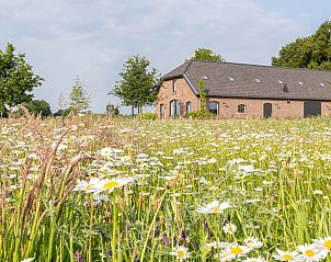Unterkunft 323162 • Ferienhaus Veluwe • Vakantiehuisje in Lunteren 
