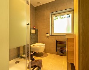 Modern bathroom in Holiday home in Lunteren, Veluwe, Gelderland with toilet and shower.