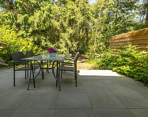 Spacious terrace at Holiday home in Lunteren, Veluwe, Gelderland overlooking nature.