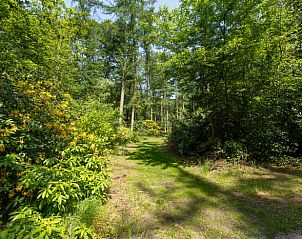 Green hiking trails near Holiday home in Lunteren, Veluwe, Gelderland.