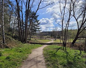 Picturesque landscape near Holiday home in Lunteren, Veluwe, Gelderland.