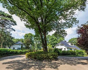 Unterkunft 323169 - Ferienhaus Veluwe - Boshoeve 8 personen Wellness (Spa)