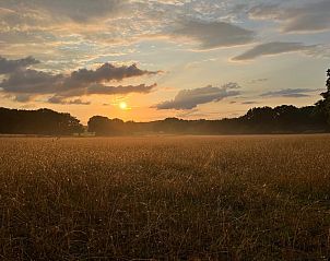 Unterkunft 323176 - Ferienhaus Veluwe - DG2032
