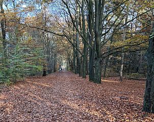 Unterkunft 323176 - Ferienhaus Veluwe - DG2032