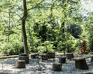 Unterkunft 323206 - Ferienhaus Veluwe - Huisje in Oldebroek