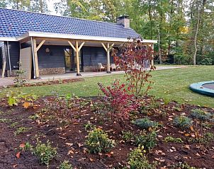 Unterkunft 323208 - Ferienhaus Veluwe - Vakantiehuis in Oldebroek