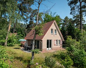 Unterkunft 323216 - Bungalow Veluwe - Landgoed 't Loo | 6-persoons bungalow | 6C2
