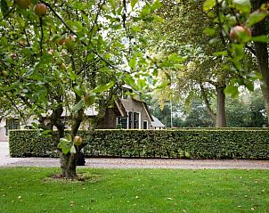 Unterkunft 323223 - Ferienhaus Veluwe - Huisje in Oldebroek