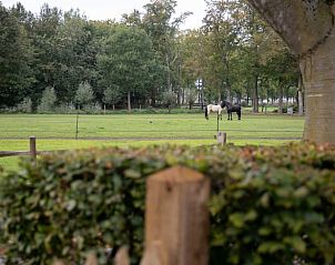 Unterkunft 323223 - Ferienhaus Veluwe - Huisje in Oldebroek