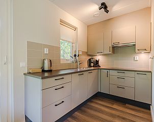 Unterkunft 323229 - Bungalow Veluwe - Landgoed 't Loo | 4-persoons babybungalow | 4CN