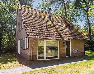 Unterkunft 323229 - Bungalow Veluwe - Landgoed 't Loo | 4-persoons babybungalow | 4CN