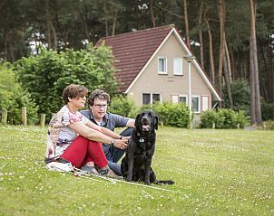 Unterkunft 323234 - Bungalow Veluwe - Landgoed 't Loo | 6-persoons Visionvilla | 6CTVI