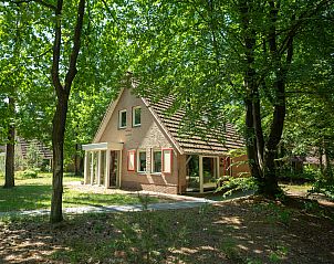 Unterkunft 323239 - Bungalow Veluwe - Landgoed 't Loo | 8-persoons bungalow | 8C