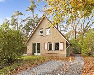 Unterkunft 323241 - Bungalow Veluwe - Landgoed 't Loo | 4-persoons bungalow | 4C