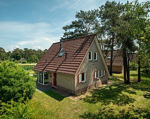 Unterkunft 323243 - Bungalow Veluwe - Landgoed 't Loo | 4-persoons bungalow | 4L1