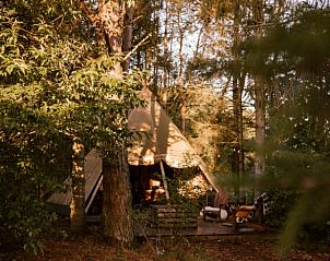 Verblijf 323309 • Vakantiewoning Veluwe • Vakantiehuis in Uddel 