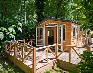 Unterkunft 323406 - Ferienhaus Veluwe - Vakantiehuisje in Rheden