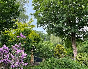 Unterkunft 323409 - Ferienhaus Veluwe - Vakantiehuisje in Rheden